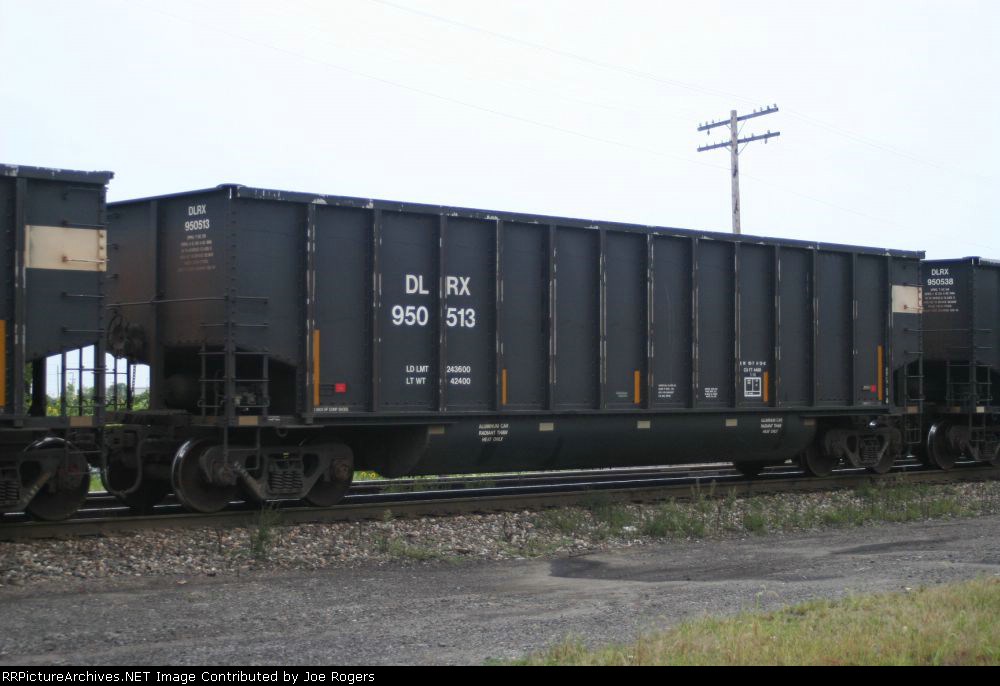 DLRX 950513