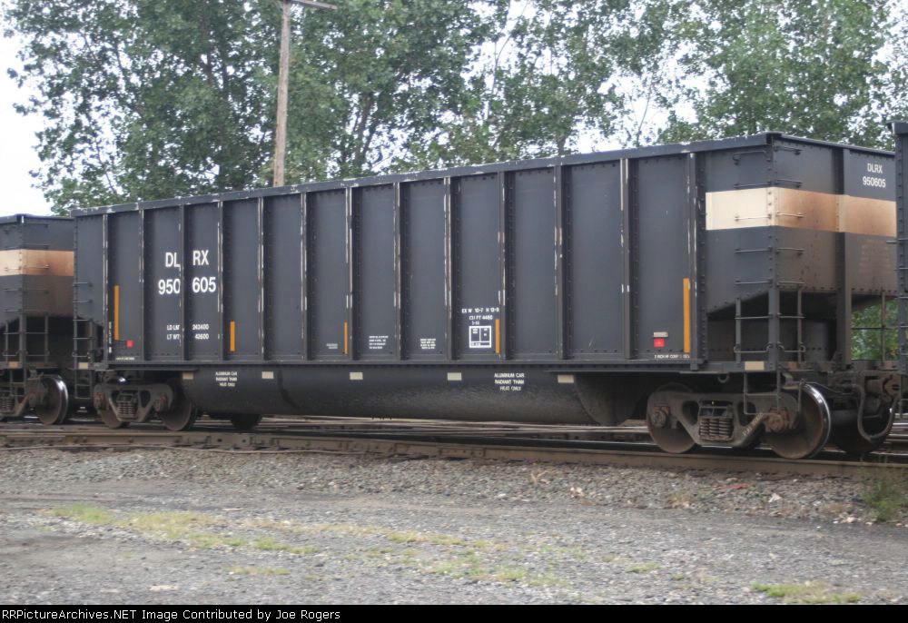 DLRX 950605