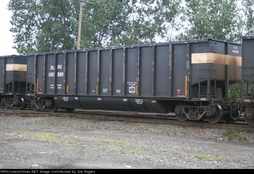 DLRX 950599
