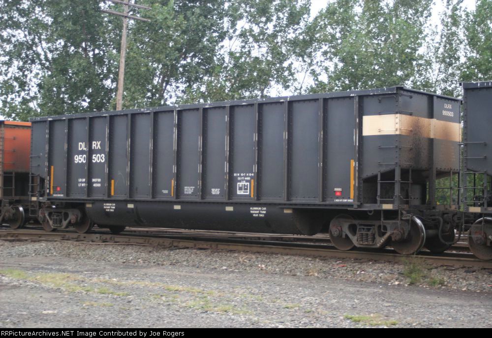 DLRX 950503