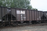 NS 317938