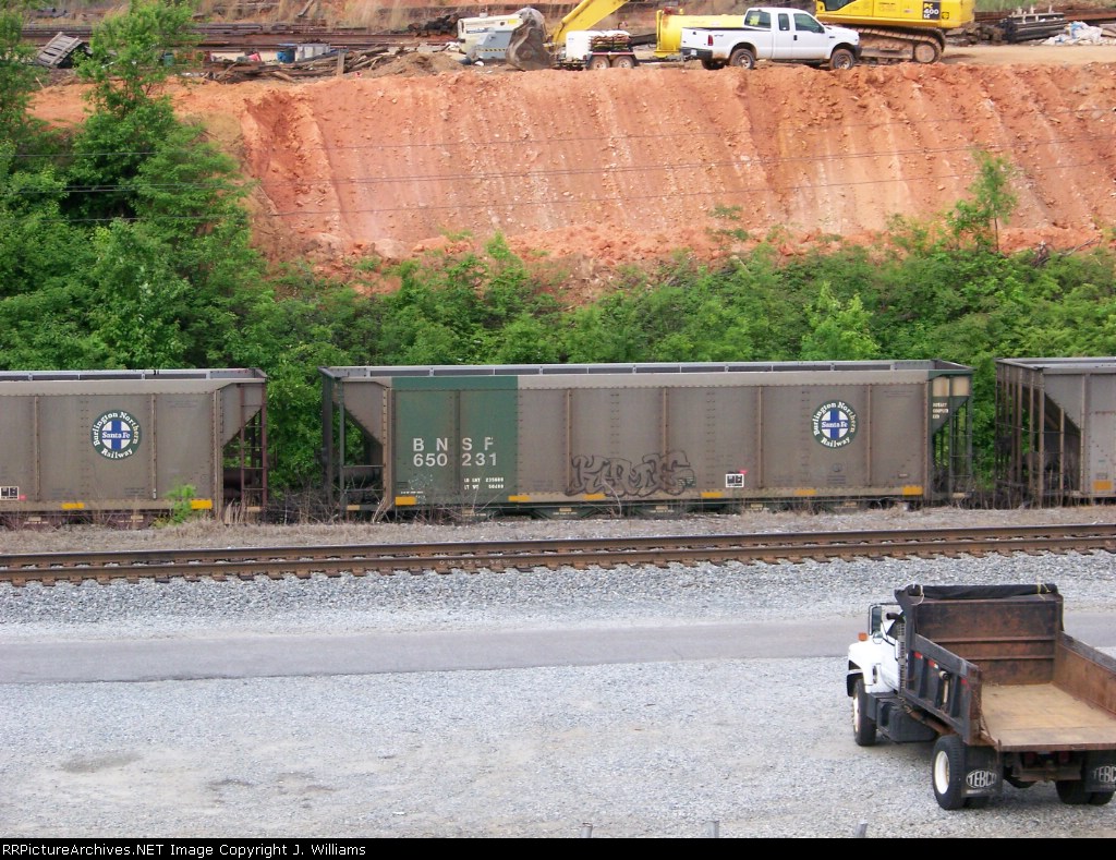 BNSF 650231