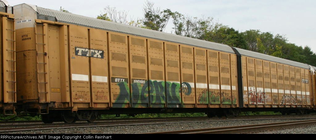 BTTX 880199