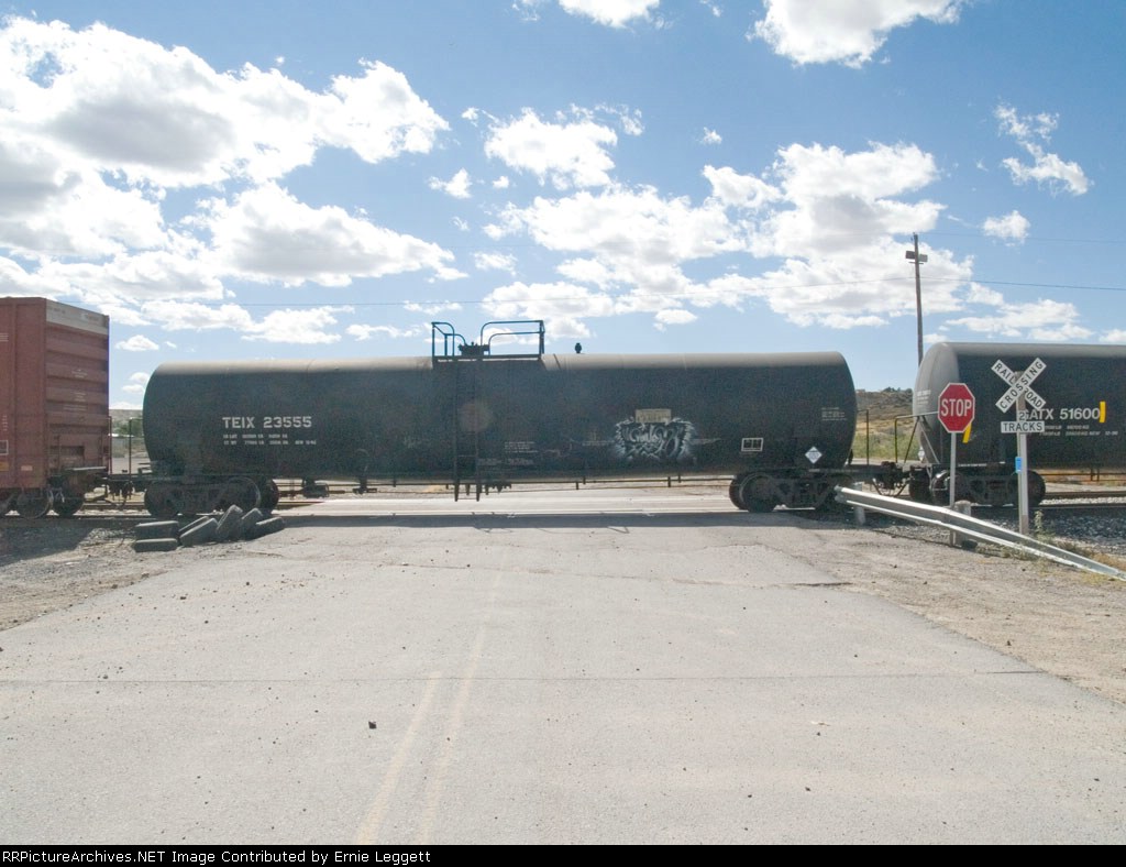 TEIX 23555