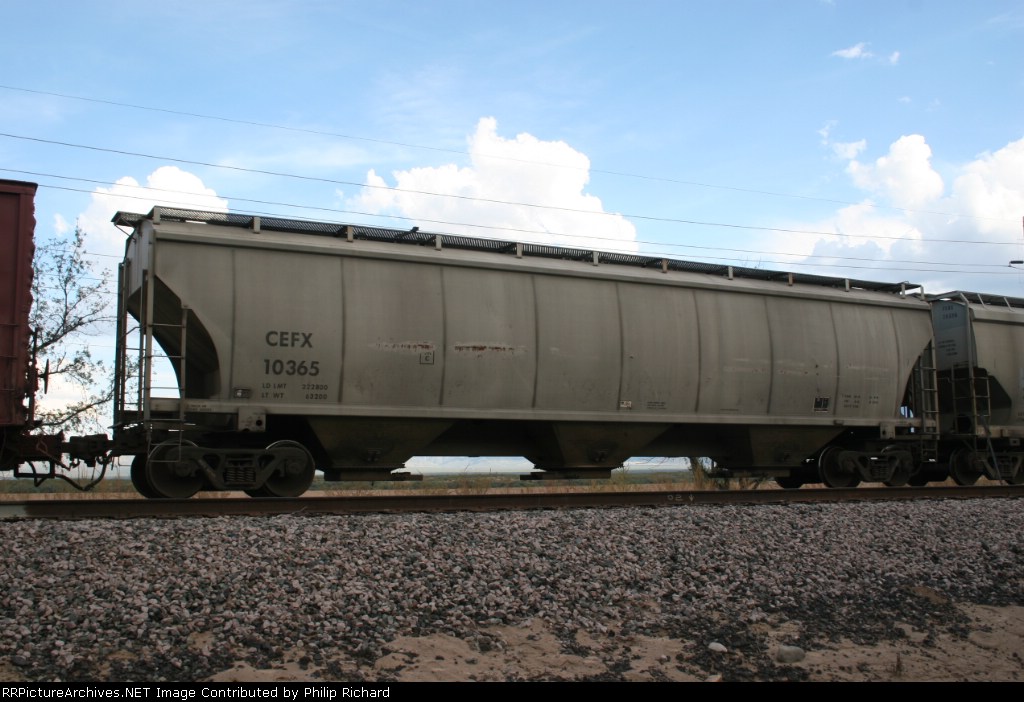 CEFX 10365