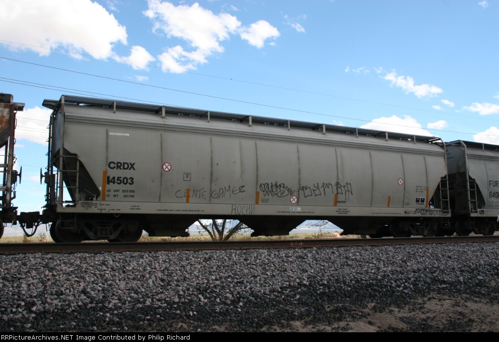 CRDX 14503