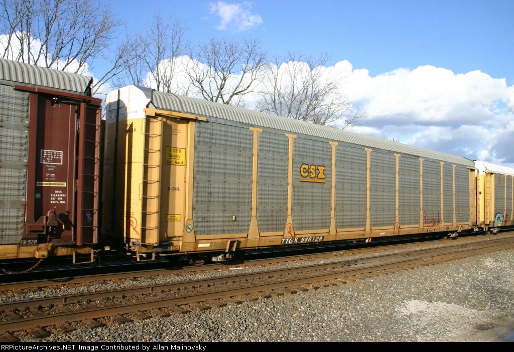 TTGX 986129