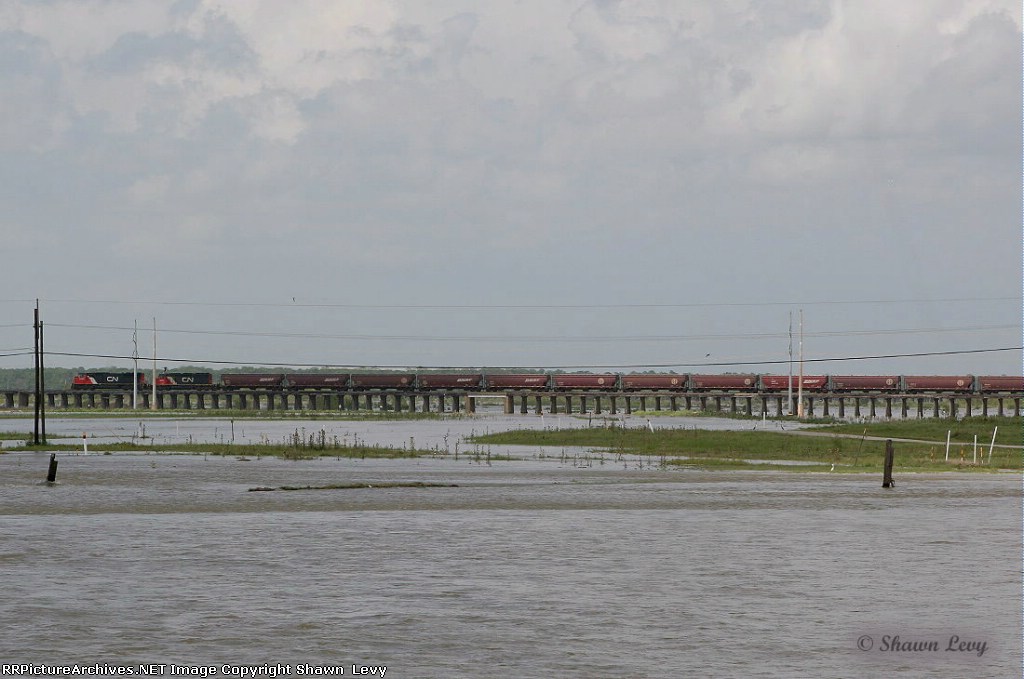 CN Loaded Grain Train