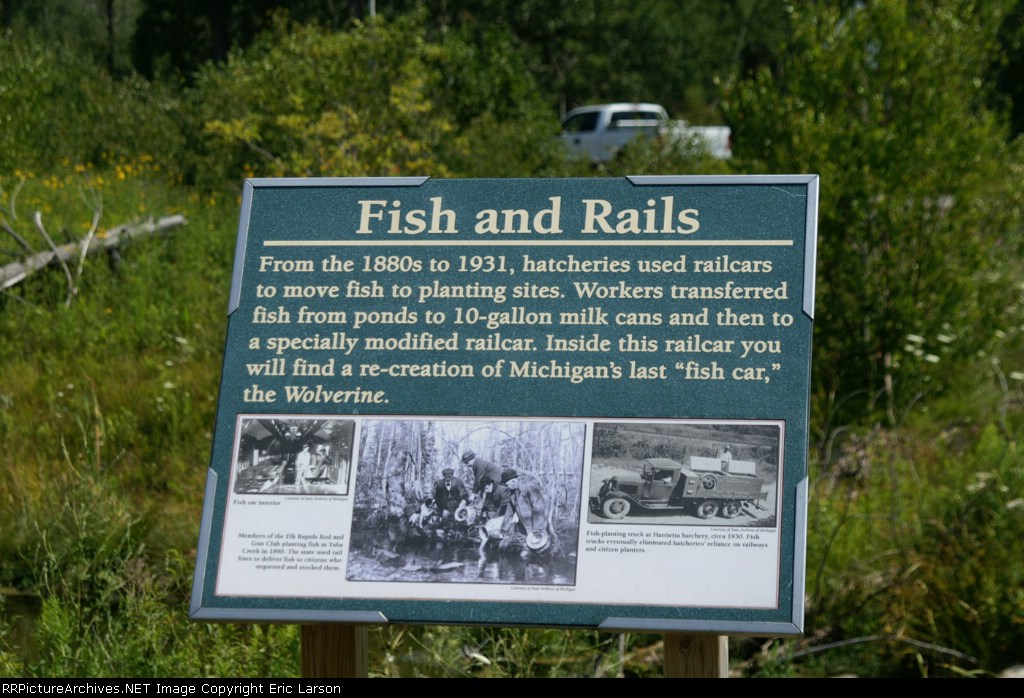 Fish and Rails