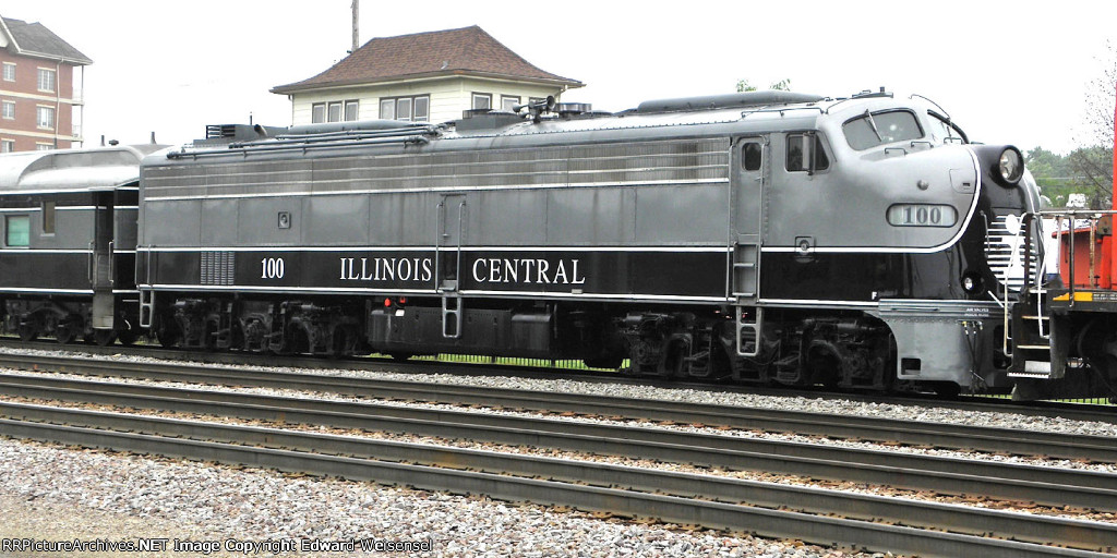 Grand dame of this year's display