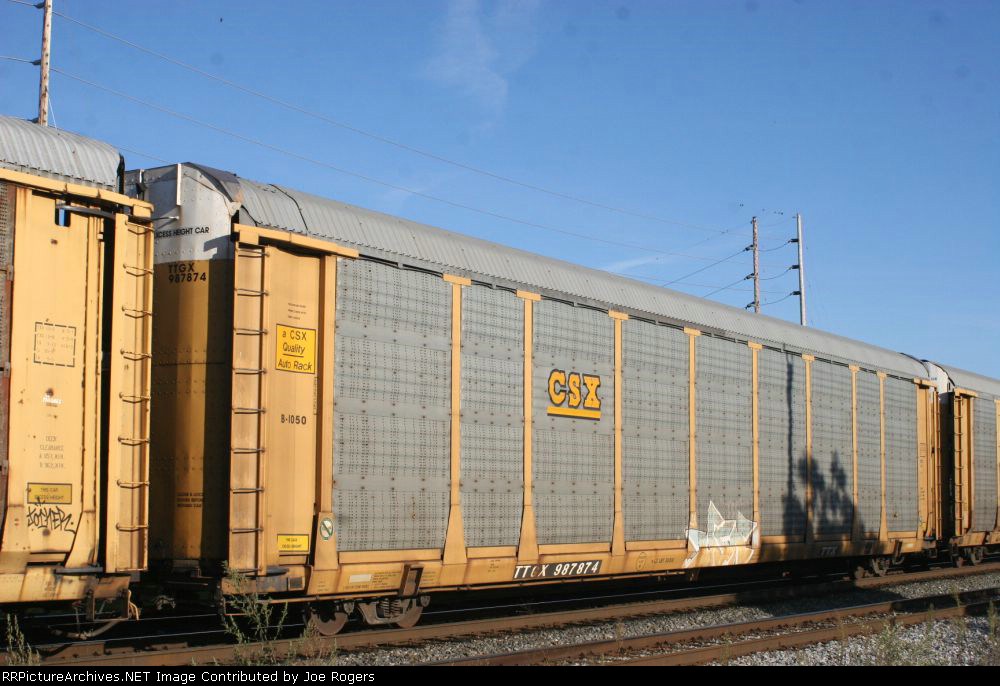 TTGX 987874