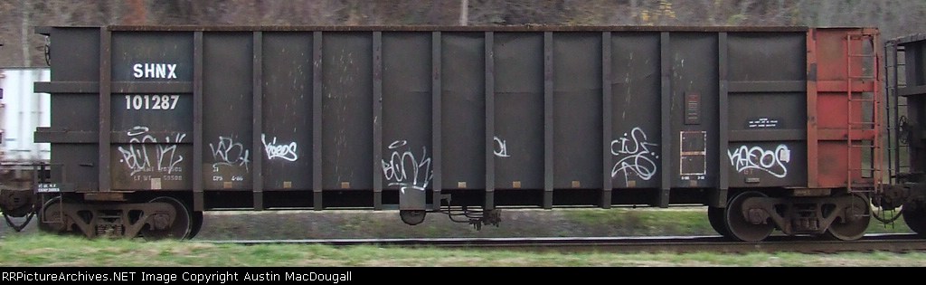 SHNX 101287