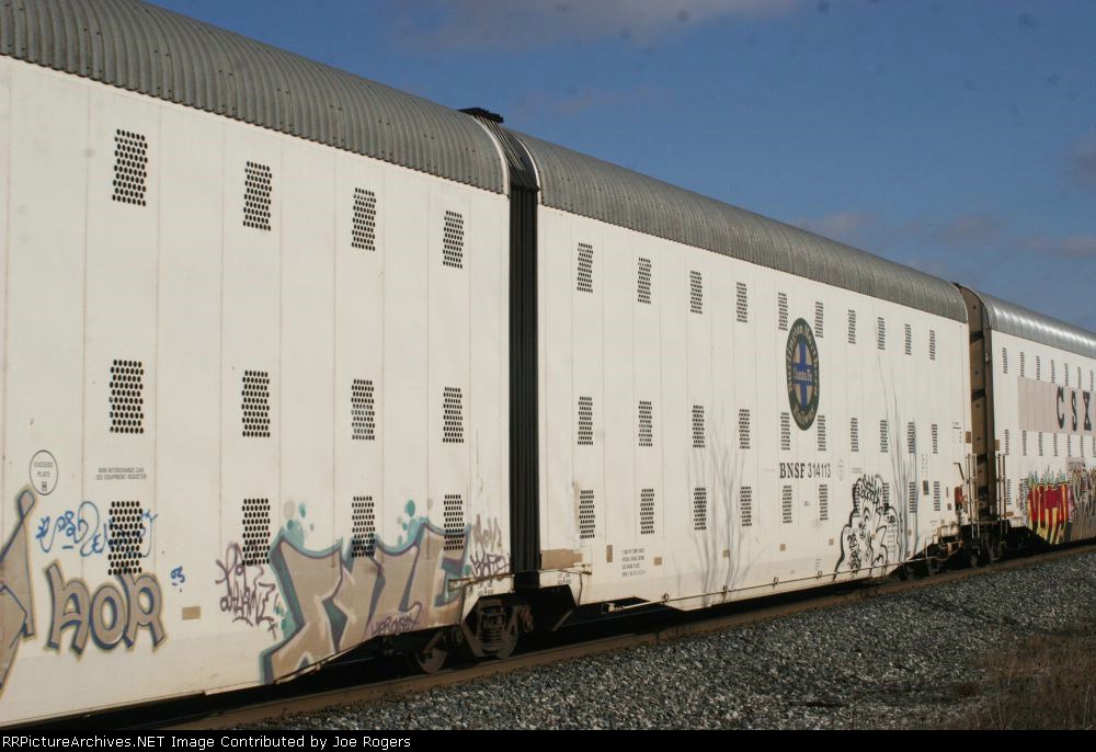 BNSF 314113