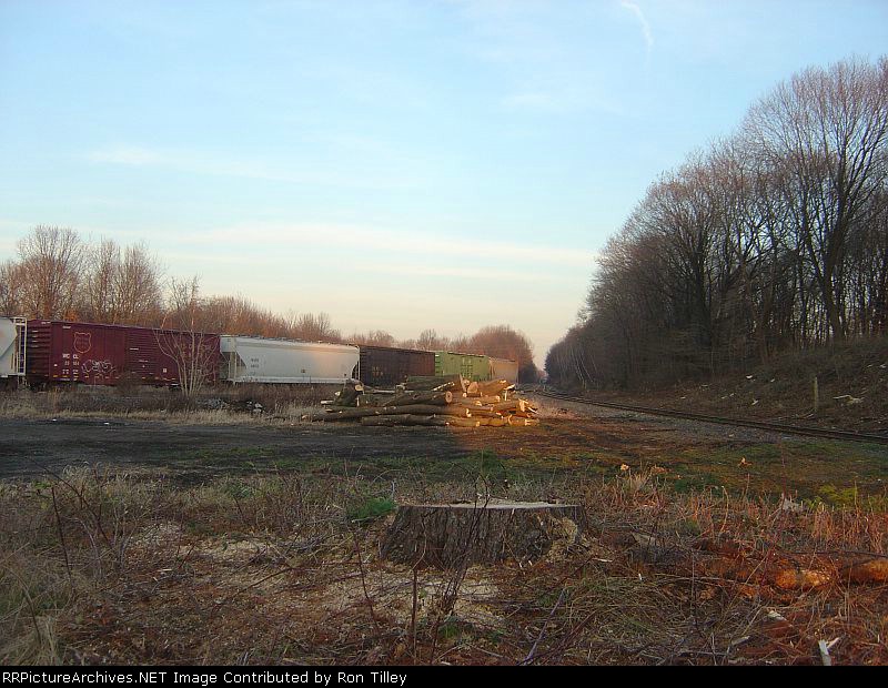 Extensive ROW work done in Washington Yard