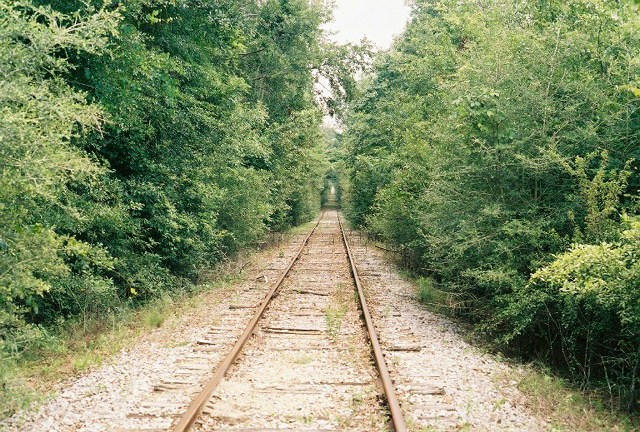 Alabama & Florida Ry