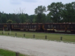 CSX 707819