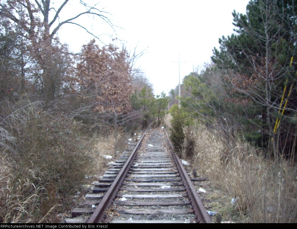 CNJ Track To Ciba Giegy