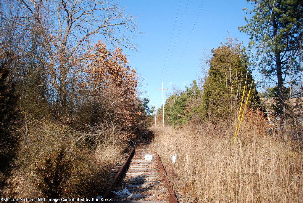 Abandoned ROW looking Towards Ciba Giegey