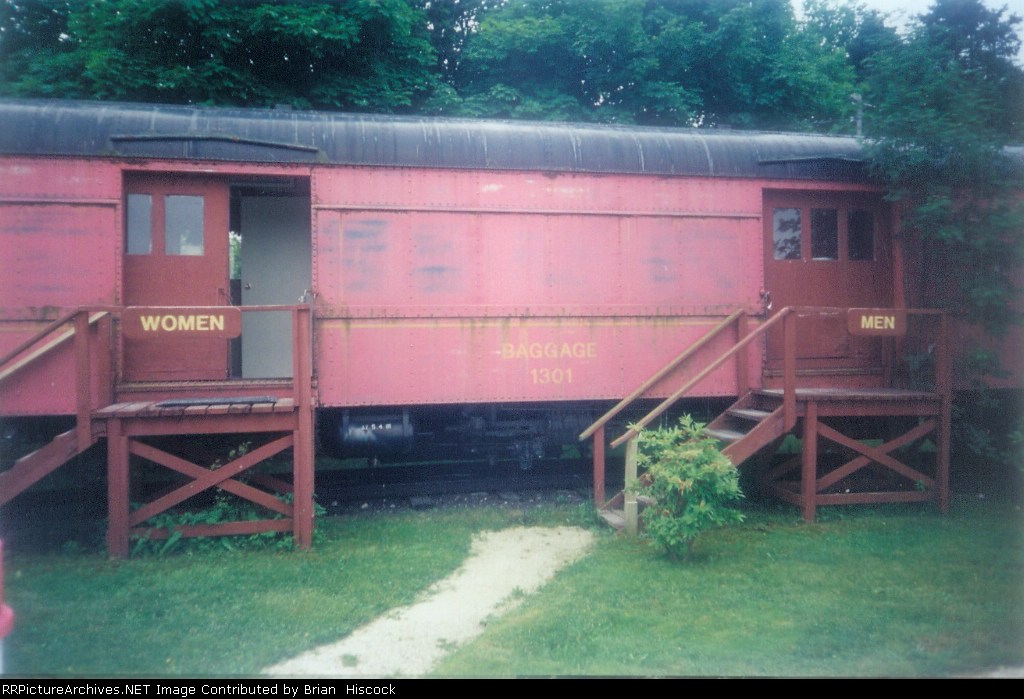 Train at Bowring park