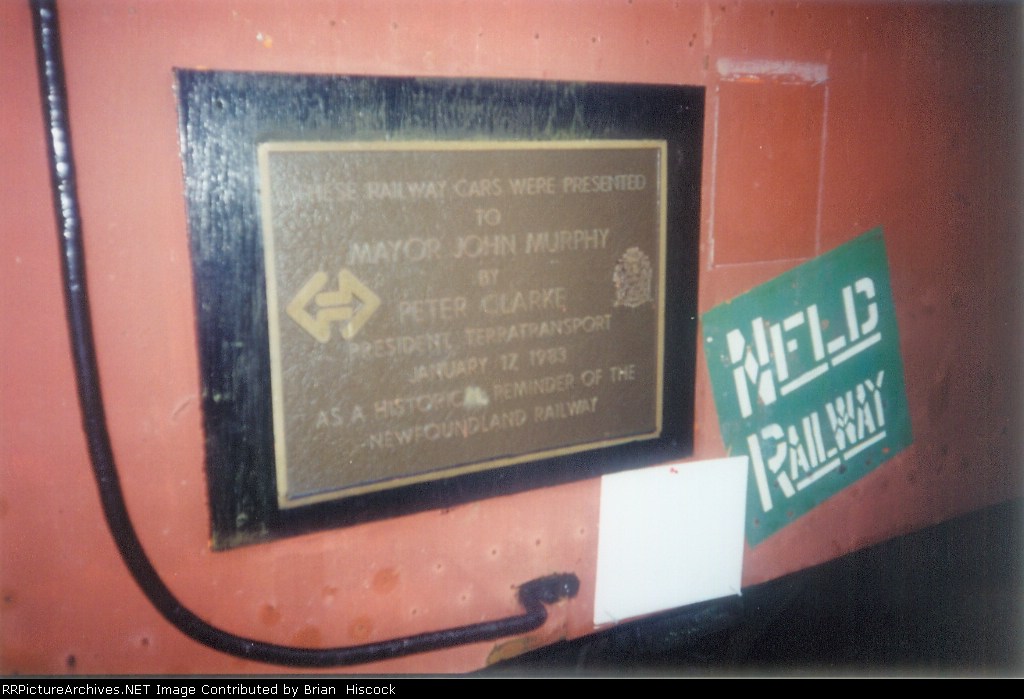 Train at Bowring park