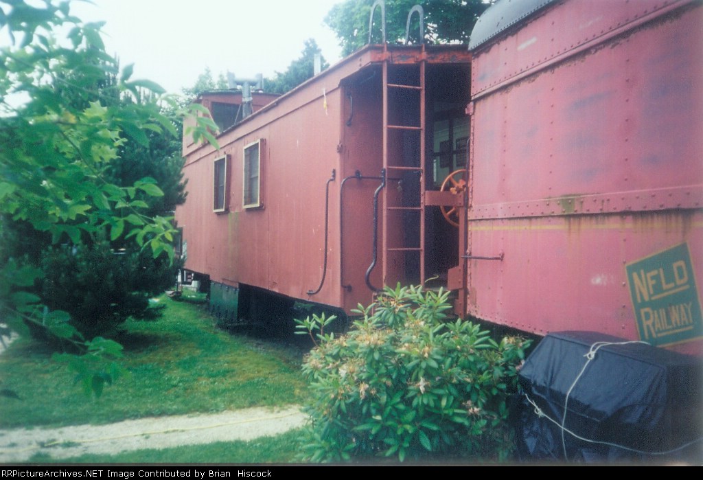 Train at Bowring park