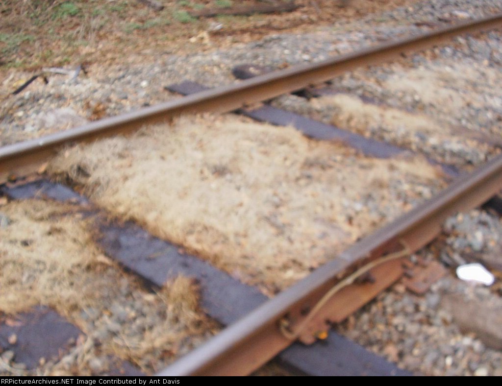 Dead Grass for Ballast???