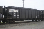 NS 300695