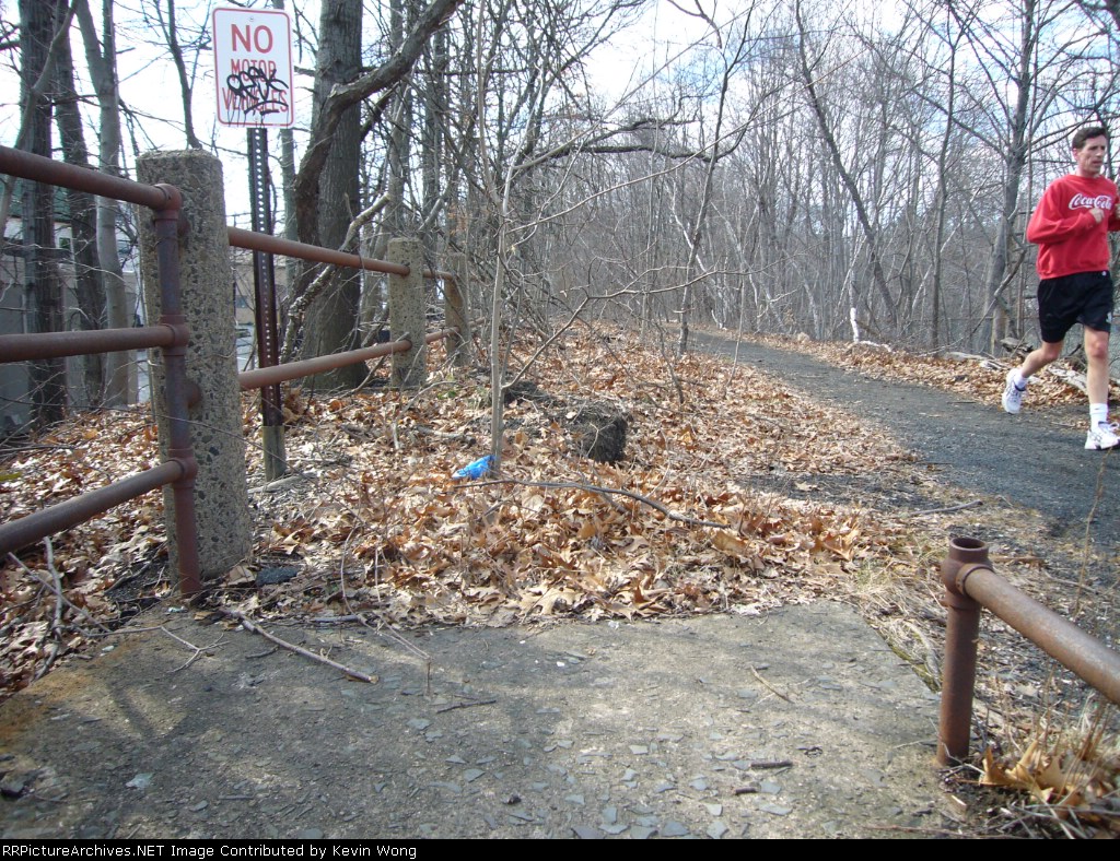Remnants of the platform