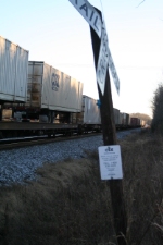 long Q142 02 on the main 