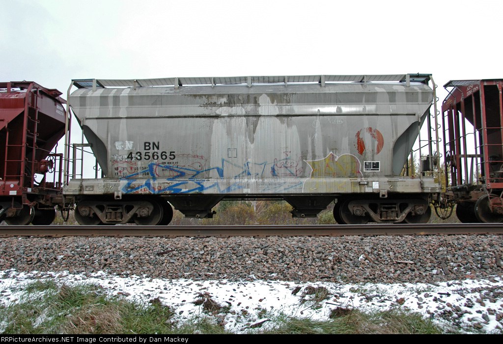 BN 435665 with GN goat showing through