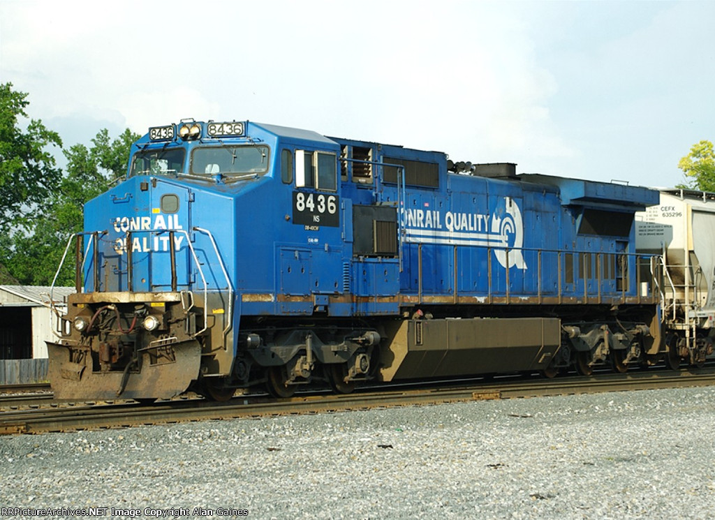 NS 8436