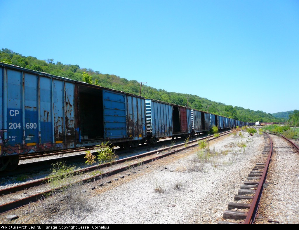 Long String of old CP Box Cars