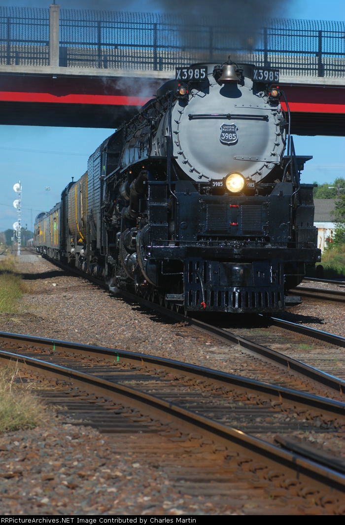 Missouri River Eagle