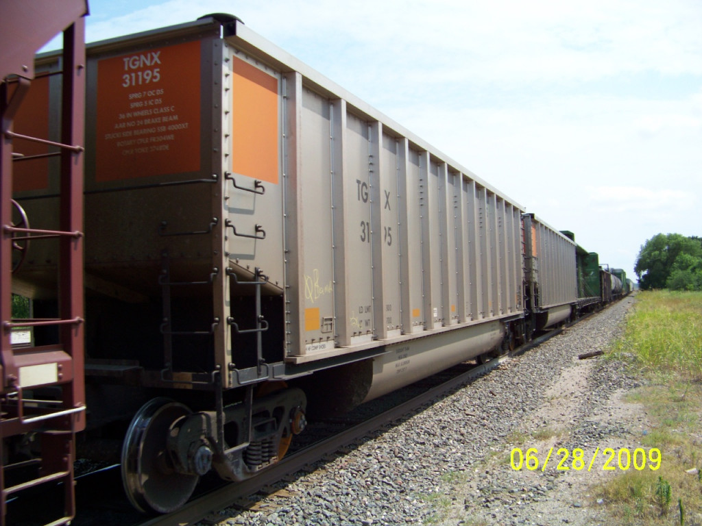 TGNX 31195