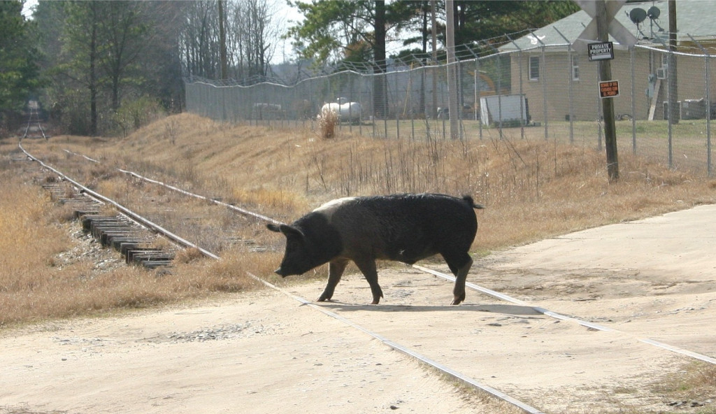 I've seen it all now...