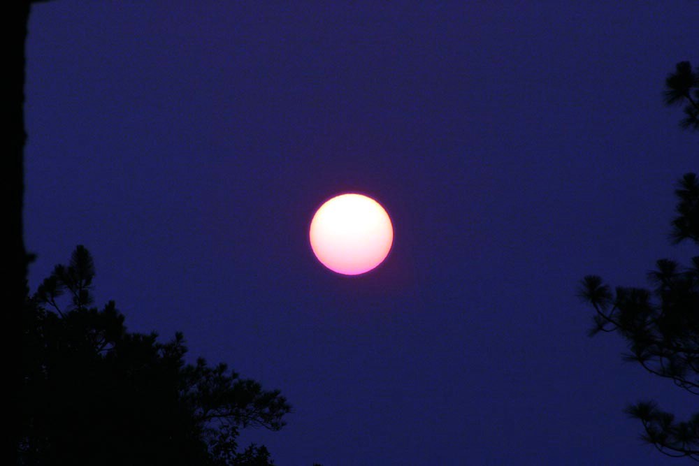 ANother non rail picture