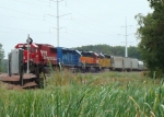 This train brings some color to a gray day