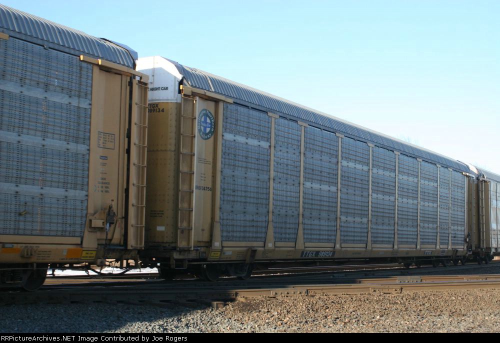 TTGX 989134