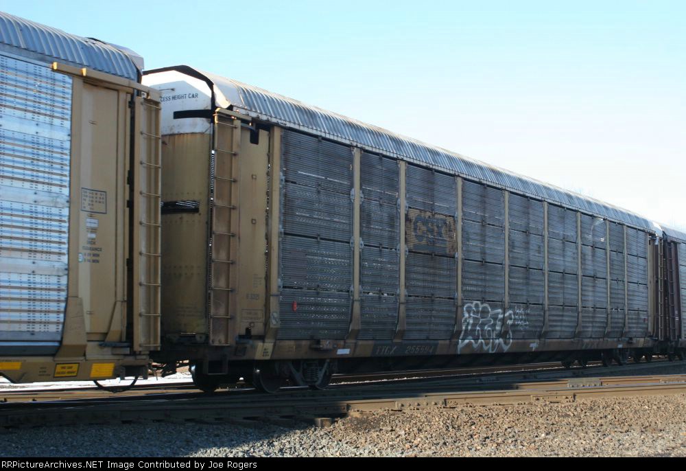 TTGX 255594