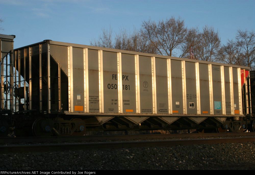 FEPX 50181