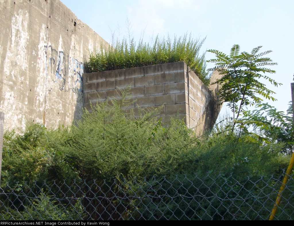 Overgrown former staircase