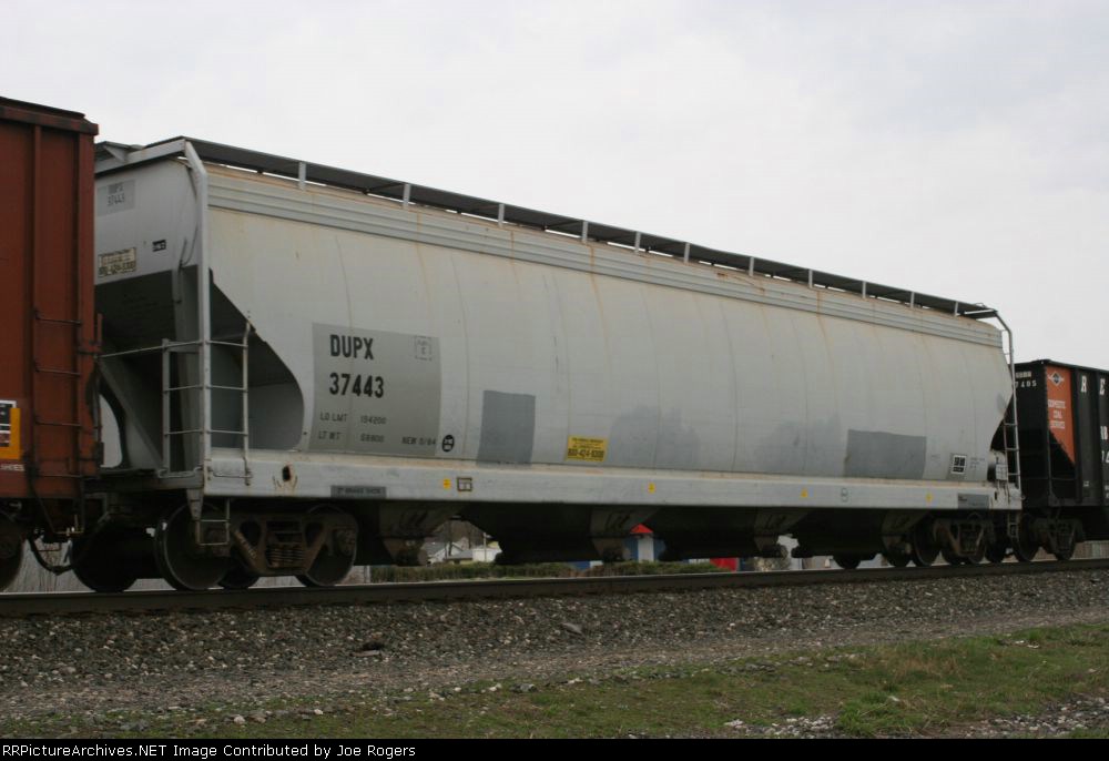 DUPX 37443