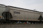 NS 292589
