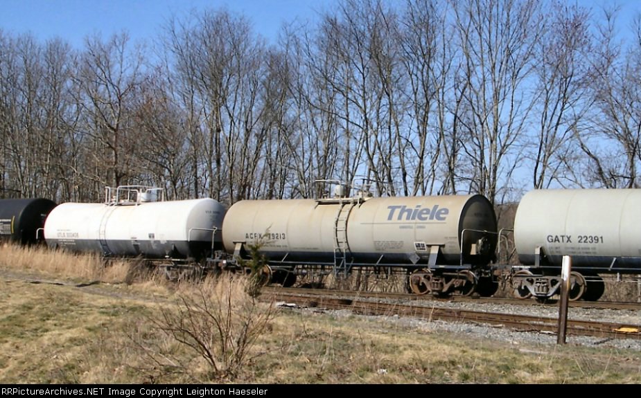 ACFX 79213 in Thiele paint