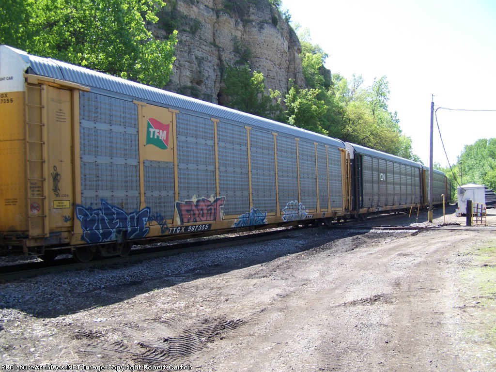 TTGX 987355