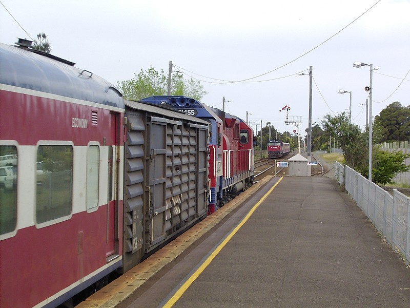The down Warnbambool train and N453 in the loop