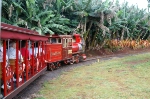 Dole Plantation Tourist Train