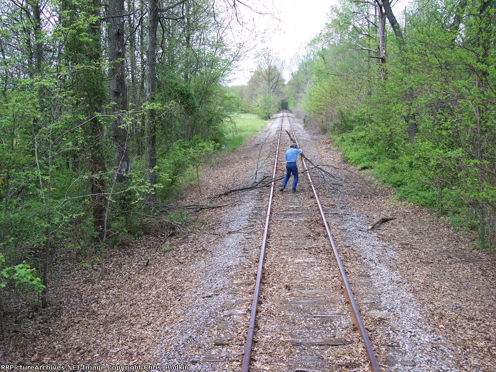 Removing dead branches from the tracks