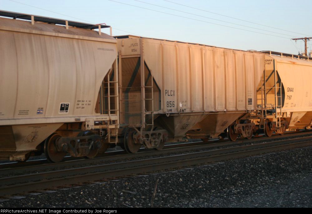 PLCX 856
