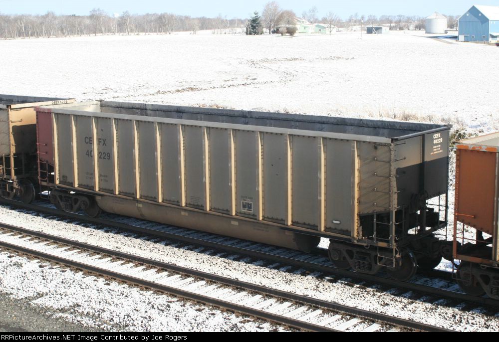 CEFX 40229
